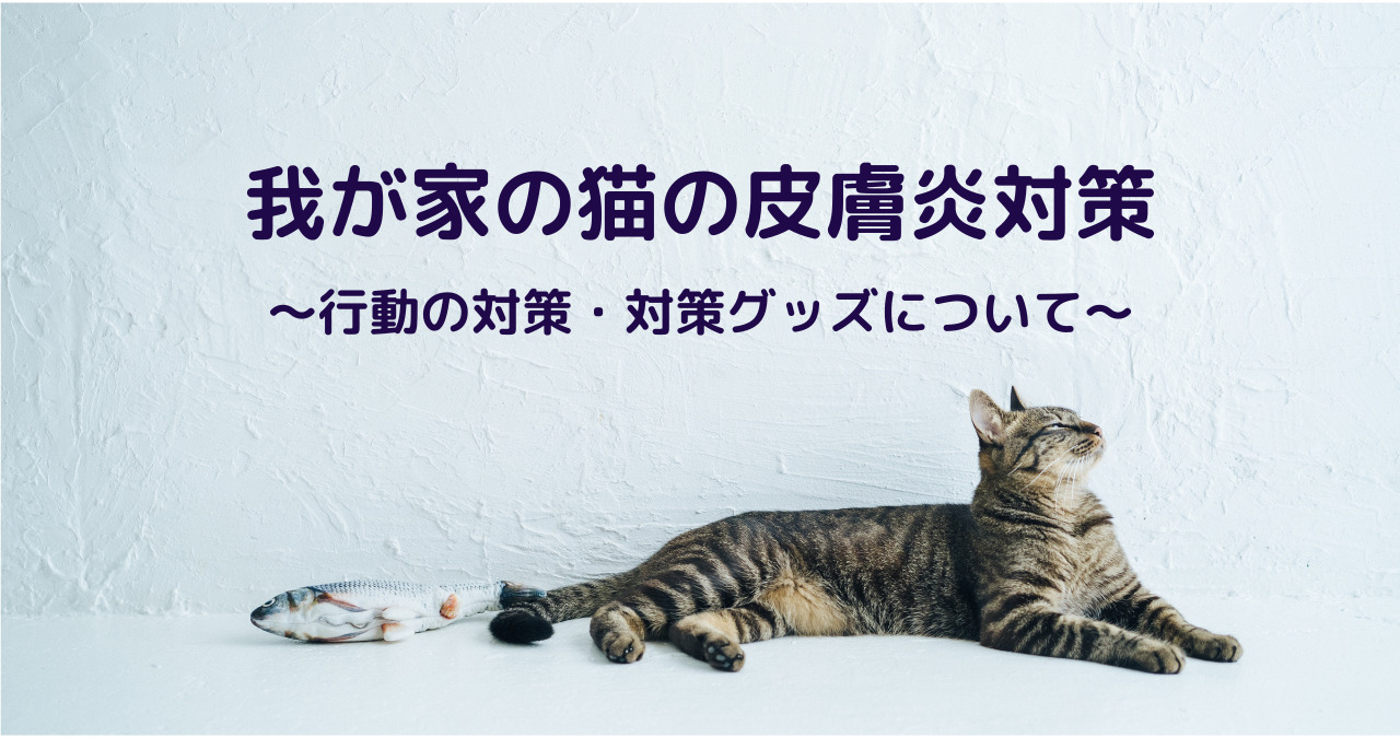 我が家の猫の皮膚炎対策 だんごブログ