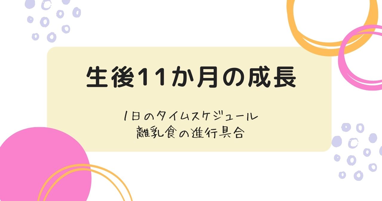 生後11ヶ月成長 1日のタイムスケジュール 離乳食の進行具合 だんごブログ